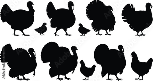 Turkey and chicken silhouette icon set featuring farm birds and chicks in standing poses, black poultry animal shapes isolated on white background for agriculture and design use
