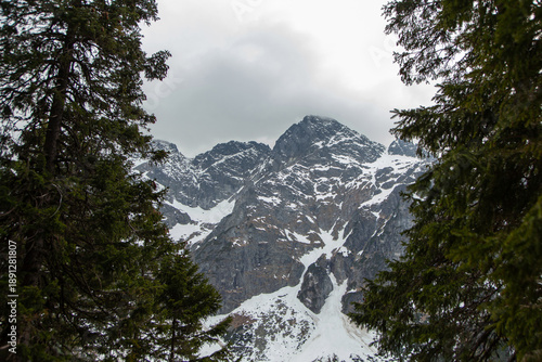 Tatra Mountains landscape in Poland with snow-capped peaks and dense evergreen trees framing the view under a cloudy sky