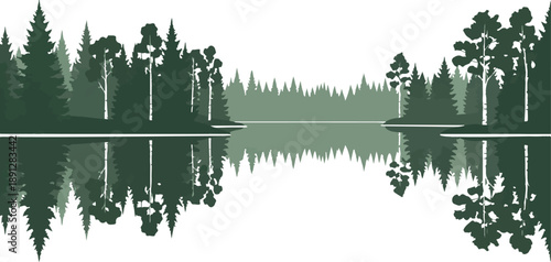 Serene forest landscape illustration with diverse trees reflected in calm water, in shades of deep green and white.