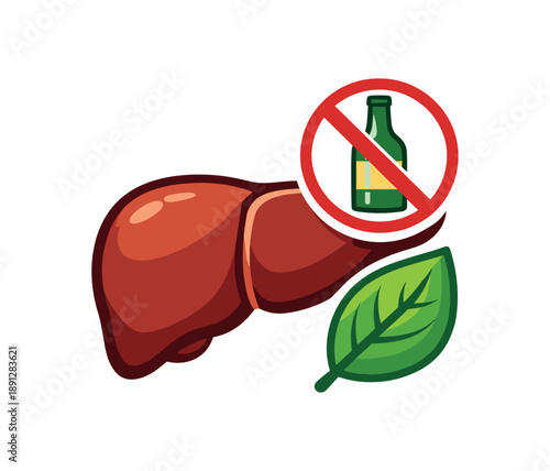 colored flat icon vector illustration isolated on white background liver with tiny bottle crossed and leaf icon healthy habits for liver disease