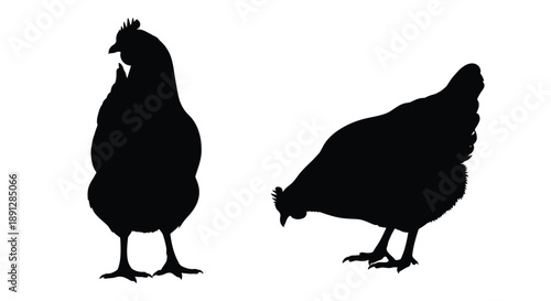 Two chickens depicted in a striking black silhouette