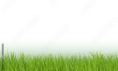 Fresh green grass border isolated against a transparent background 