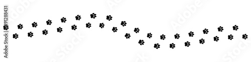 Paw footprint of cat or dog foot trail on white background, vector imprint. Dog or cat pet and wild animal footprint track trail on snow