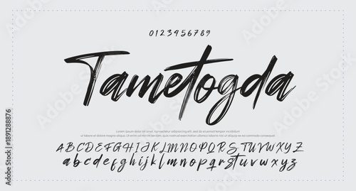 letter design with signature font style