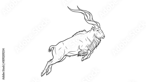 Elegant Antelope Sketch: A stunning illustration showcases an antelope in mid-leap, highlighting its graceful form and long, curved horns.