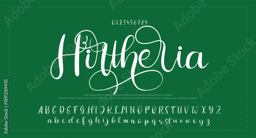 Lettering signature font isolated on grey background. brus style alphabet. Vector logo letters. 