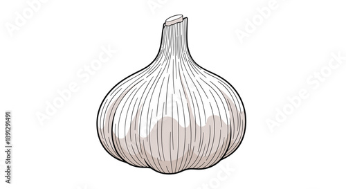 Detailed illustration of a whole raw garlic bulb with its papery skin shown in a clean graphic style on a plain white background.