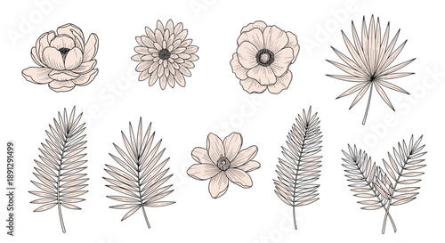 Collection of various hand drawn flower heads and tropical palm leaves in a soft peach and black ink vintage sketch style on white.