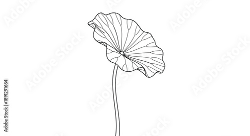 Single lotus leaf on a long thin stem rendered in simple black and white line art, showcasing a minimalist nature design.