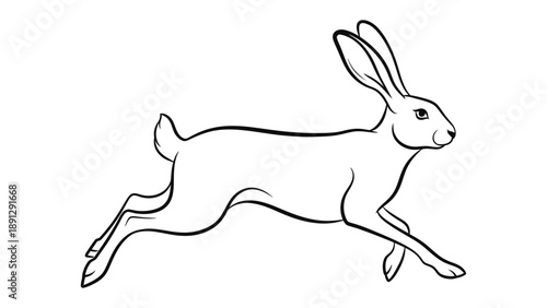 Speeding Hare Sketch: Capturing the essence of a sprinting hare in a dynamic sketch, conveying speed and energy in simple lines.