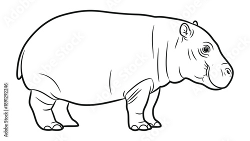 Hippopotamus Illustration: A detailed black-and-white illustration of a hippopotamus, showcasing the animal's massive size and unique features. 
