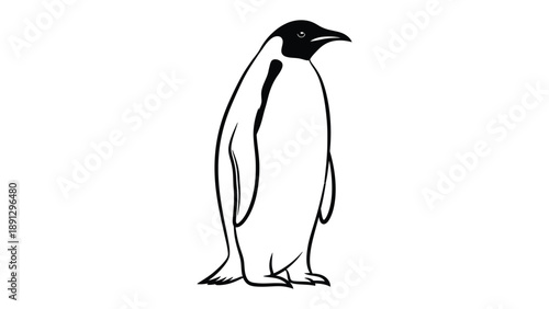 Monochromatic Penguin Portrait: A minimalist illustration of an emperor penguin, elegantly depicted in black and white, against a clear background.