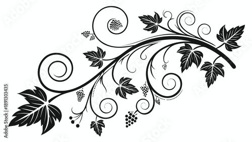 Elegant grapevine floral spiral design with leaves and berries on white background