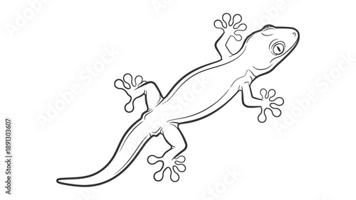 Gecko's Sketch: a simple illustration of a gecko with its textured skin, a captivating reptile with a long tail and tiny hands.