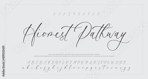 elegant handwritten font that captures a realistic signature style, great for personal logos and stationery. 