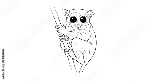 Cute Tarsier Clinging to Branch: This monochrome illustration captures a captivating tarsier perched delicately on a branch, its huge eyes filled with wonder, ready to explore.