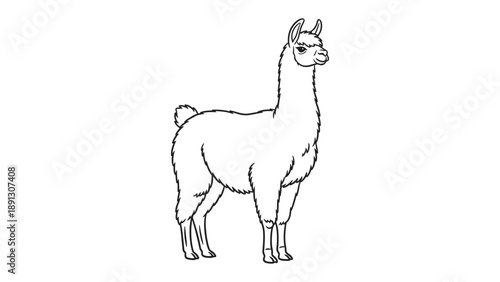 Llama Icon: A clean and simple illustration of a llama standing, showcasing its distinct features and elegant posture. The black and white style enhances its versatility for design use. 