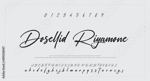 
Signature script lettering font 