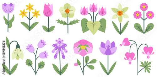 Set of colorful spring flowers including tulips, snowdrops, daffodils, and bellflowers designed in a simple geometric flat style