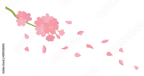 Beautiful cherry blossom branch with pink petals falling in the wind. Soft floral vector illustration isolated on white, ideal for spring themes, wedding designs, and romantic backgrounds.
