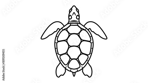Ocean's Ancient Mariner: A detailed outline of a sea turtle, a symbol of resilience and the deep ocean, captured in a clean and elegant monochrome style.