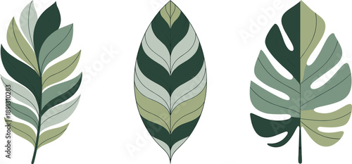 Minimal botanical leaf illustrations set with modern organic shapes, layered green tones, nature inspired wall art, isolated neutral background design