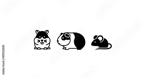 Three cute hamsters and a mouse in black and white illustration on clean background