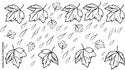 Delicate ink drawn leaf shapes arranged vertically with raindrops on white background