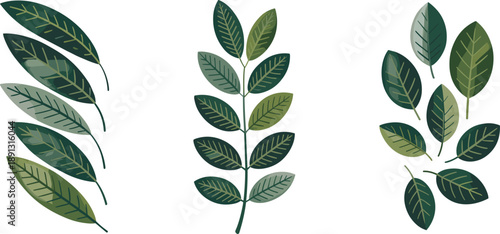 Minimal botanical leaf poster set with modern organic illustrations, green foliage shapes, nature inspired wall art, isolated neutral background design