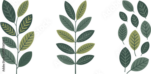 Minimal botanical leaf poster set with modern organic illustrations, green foliage shapes, nature inspired wall art, isolated neutral background design