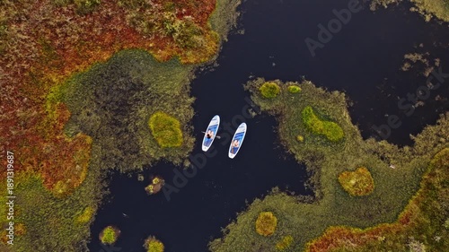 Paddleboarding in Estonian Bog