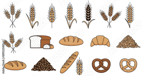 Set of different kinds of bread with wheat ears and grains illustration