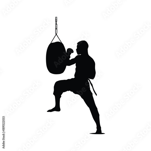 Martial artist training with punching bag silhouette