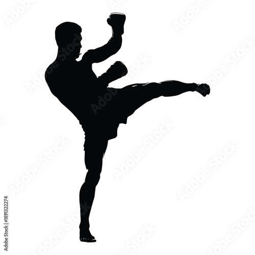 Silhouette of Male Kickboxer in Fighting Stance