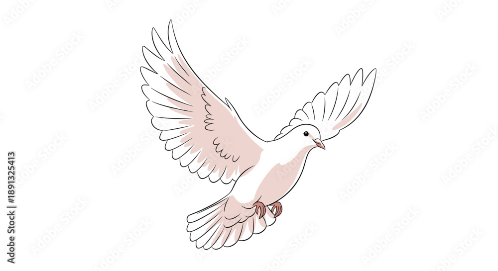 Obraz premium Beautiful white dove or pigeon in flight with outspread wings and soft pink shading isolated on a plain white background for peace.