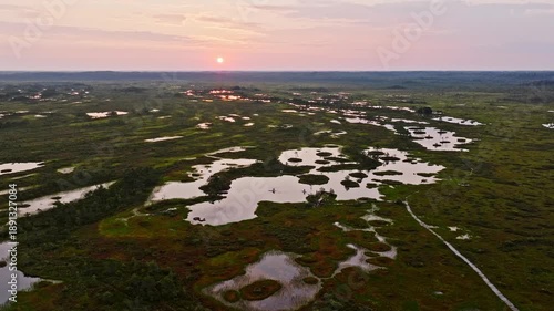 Aerial view of the bog summer sunrise