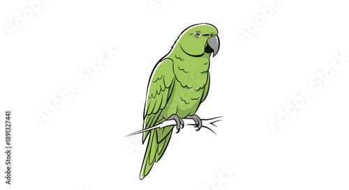 Detailed illustration of a green parrot perched on a small branch in profile view looking forward on a plain white background.