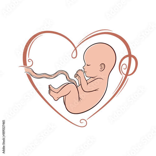 Fetal Illustration Inside Heart Shape Symbol.