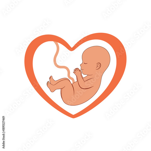 Illustration of Fetus in Heart Shape.
