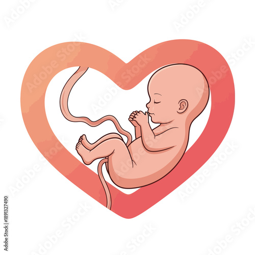 Fetus in Heart Illustration Baby Pregnancy.