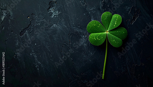 Four-leaf clover on black background. Luck and fortune, elegant minimal composition.