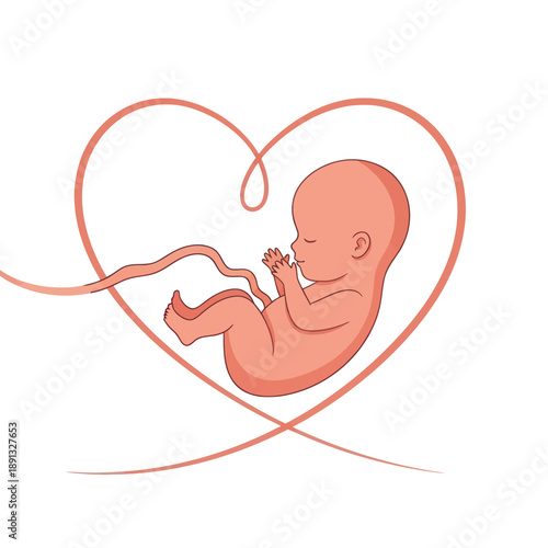 Baby Fetus Inside Heart Shape Illustration.