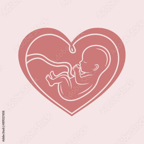 Baby Fetus Inside Heart Shape Illustration.