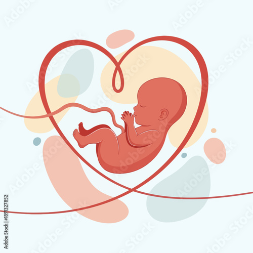 Red Fetus Inside Heart Shape Illustration.
