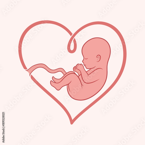 Baby Fetus Inside Heart Shape Illustration.