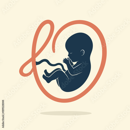 Silhouette of Fetus in Womb Illustration.