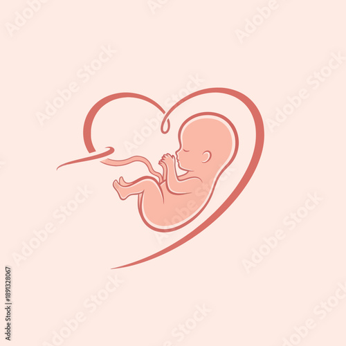 Illustration of Fetus in Heart Shape.