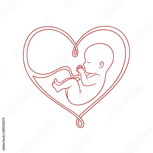 Line Drawing of Fetus in Heart Shape.