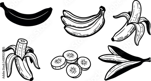 Hand drawn vintage style banana collection with peeled, whole, bunch and sliced fruit detailed black line art