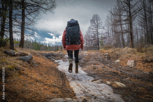 Canvas Print A lone female hiker with a large backpack walks away along a muddy forest trail with patches of melting snow during a spring or autumn adventure